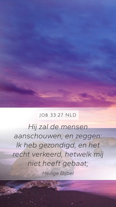 Job 33:27 NLD Bible Verse Image