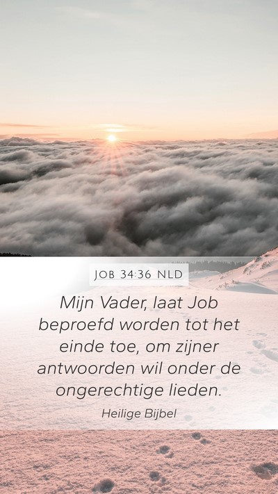 Job 34:36 NLD Bible Verse Image