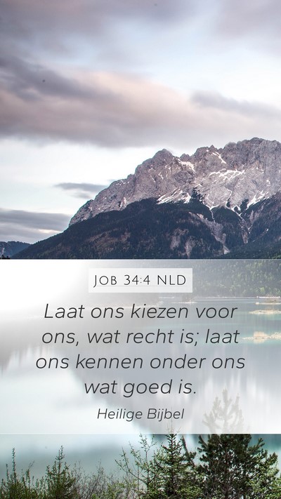 Job 34:4 NLD Bible Verse Image