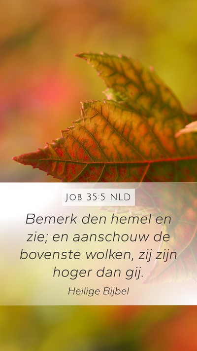 Job 35:5 NLD Bible Verse Image