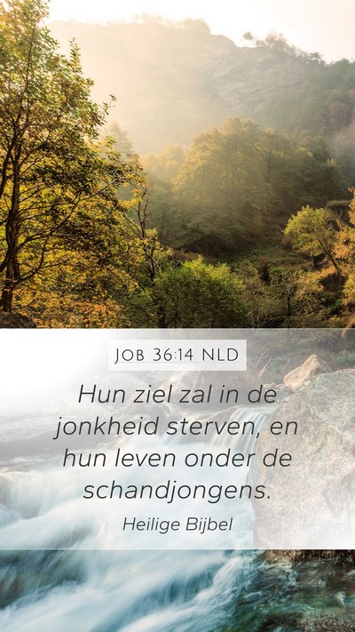Job 36:14 NLD Bible Verse Image