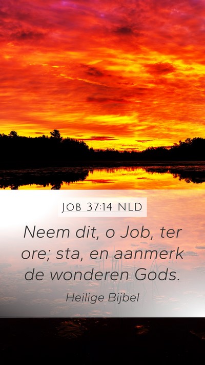 Job 37:14 NLD Bible Verse Image