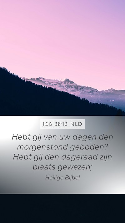Job 38:12 NLD Bible Verse Image