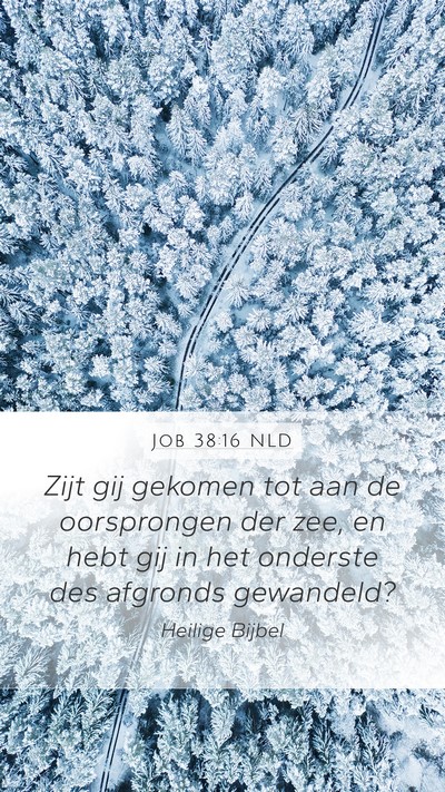 Job 38:16 NLD Bible Verse Image