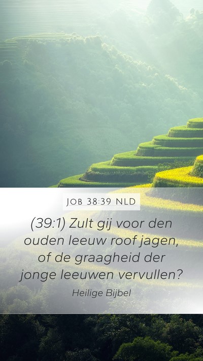 Job 38:39 NLD Bible Verse Image