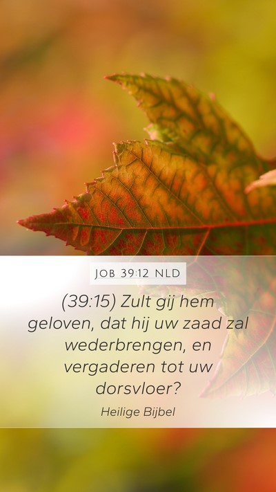Job 39:12 NLD Mobile Phone Wallpaper - (39:15) Zult gij hem geloven, dat hij uw zaad zal - Mobile Bible Verse Wallpaper