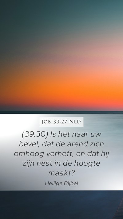 Job 39:27 NLD Bible Verse Image