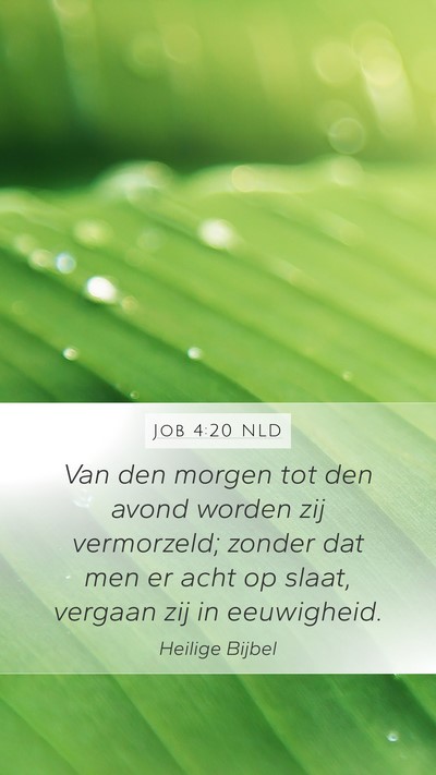 Job 4:20 NLD Bible Verse Image