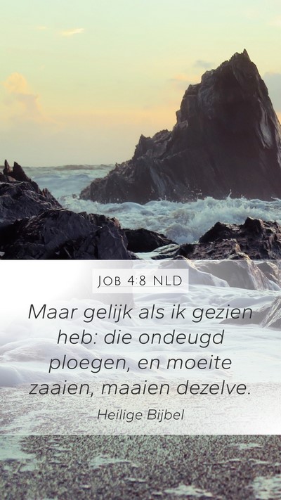 Job 4:8 NLD Bible Verse Image