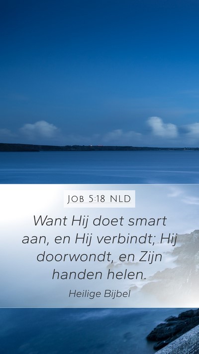 Job 5:18 NLD Bible Verse Image