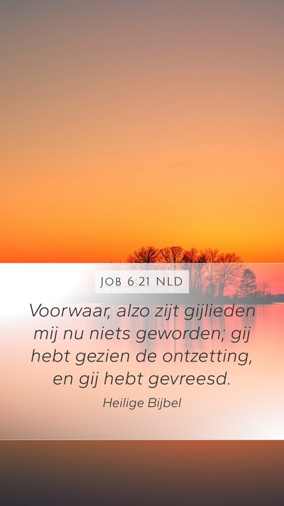 Job 6:21 NLD Bible Verse Image
