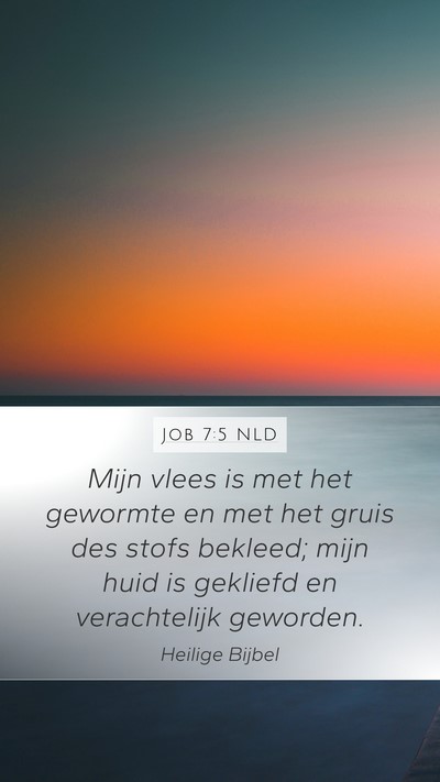 Job 7:5 NLD Bible Verse Image