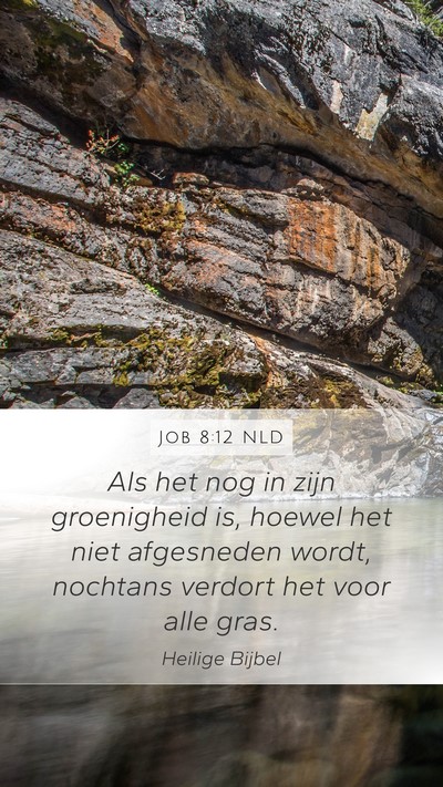 Job 8:12 NLD Bible Verse Image