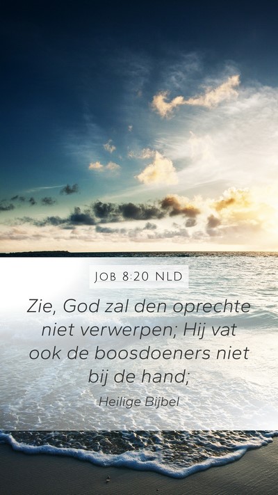 Job 8:20 NLD Bible Verse Image