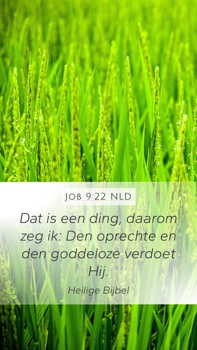Job 9:22 NLD Bible Verse Image