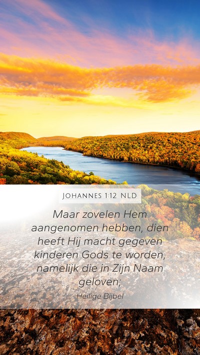 Johannes 1:12 NLD Bible Verse Image