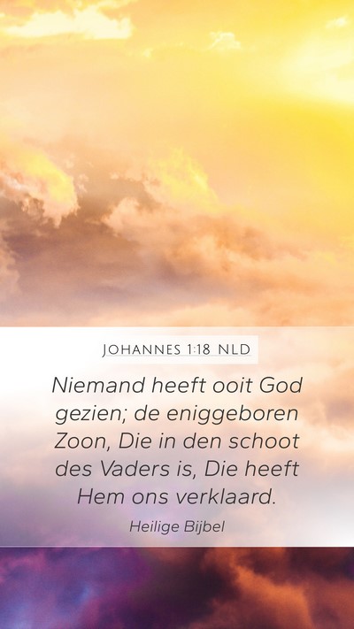 Johannes 1:18 NLD Bible Verse Image