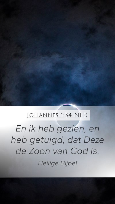 Johannes 1:34 NLD Bible Verse Image