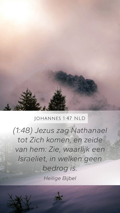 Johannes 1:47 NLD Bible Verse Image