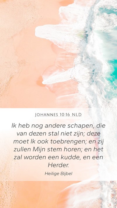 Johannes 10:16 NLD Bible Verse Image
