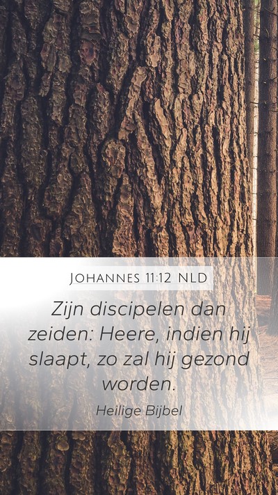 Johannes 11:12 NLD Mobile Phone Wallpaper - Zijn discipelen dan zeiden: Heere, indien hij - Mobile Bible Verse Wallpaper