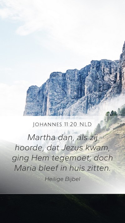 Johannes 11:20 NLD Mobile Phone Wallpaper - Martha dan, als zij hoorde, dat Jezus kwam, ging - Mobile Bible Verse Wallpaper