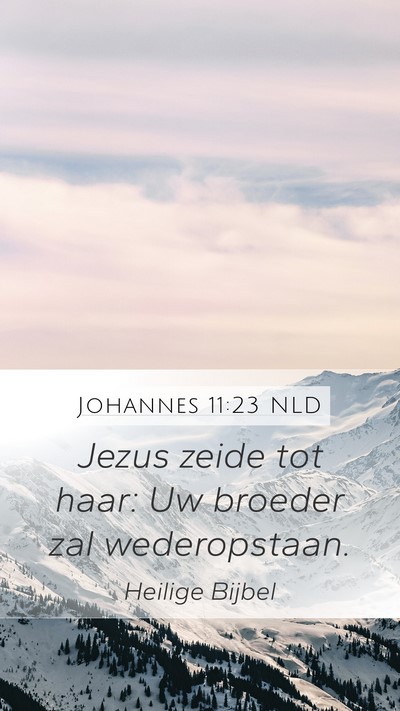 Johannes 11:23 NLD Bible Verse Image