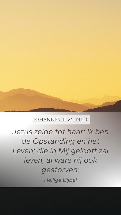 Johannes 11:25 NLD Bible Verse Image