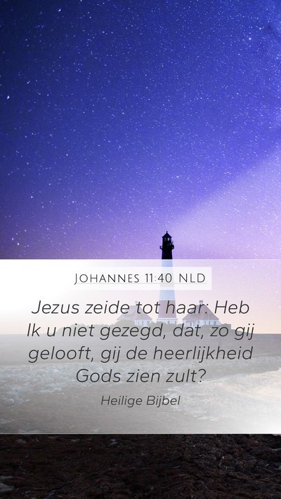 Johannes 11:40 NLD Bible Verse Image