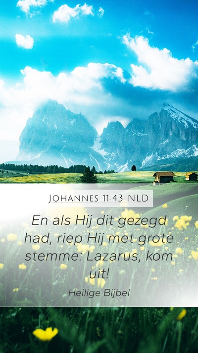 Johannes 11:43 NLD Bible Verse Image