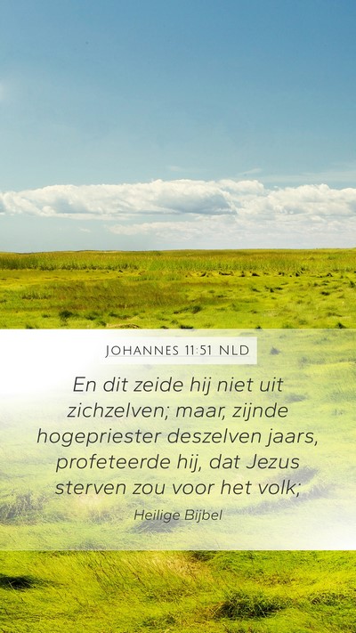 Johannes 11:51 NLD Bible Verse Image