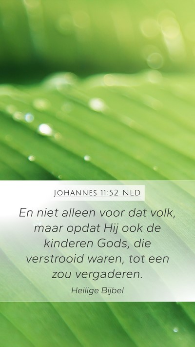 Johannes 11:52 NLD Bible Verse Image