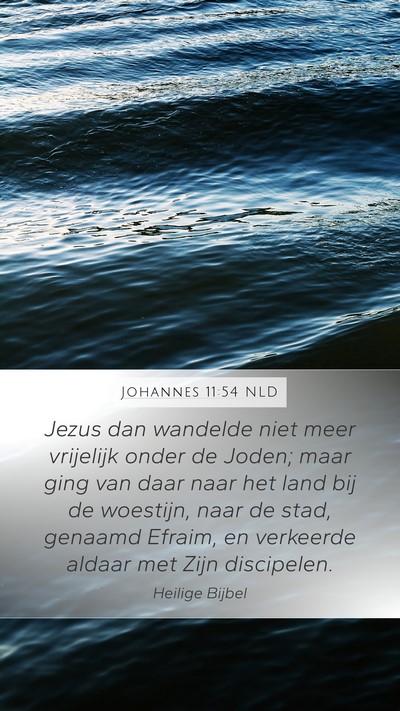 Johannes 11:54 NLD Bible Verse Image