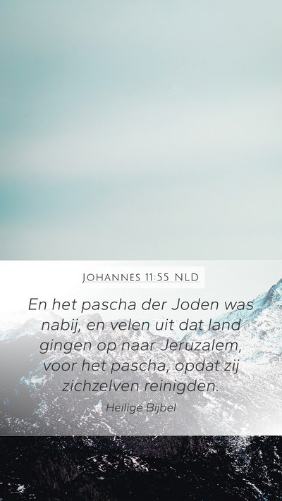 Johannes 11:55 NLD Bible Verse Image