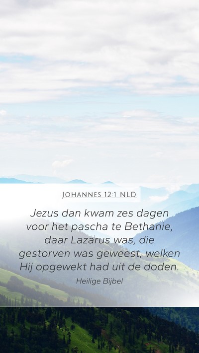 Johannes 12:1 NLD Bible Verse Image