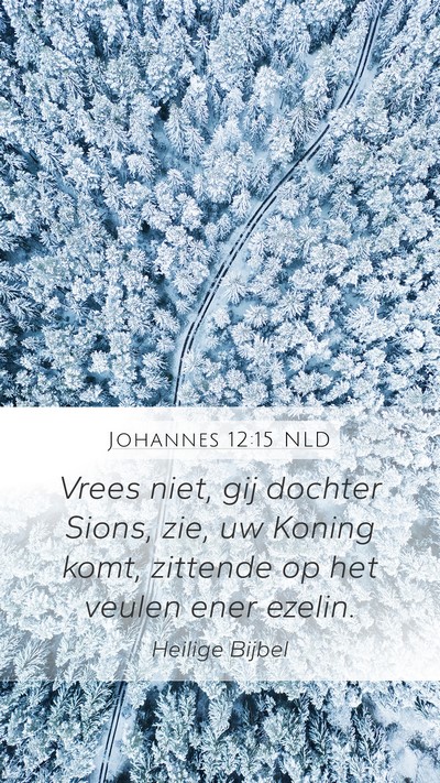 Johannes 12:15 NLD Bible Verse Image