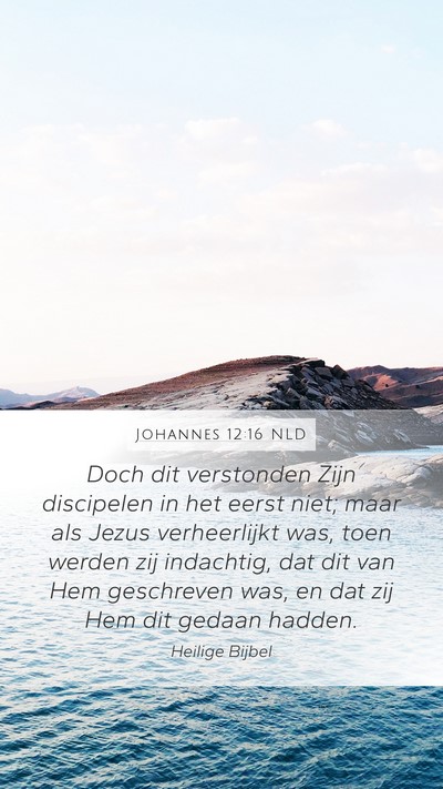 Johannes 12:16 NLD Bible Verse Image