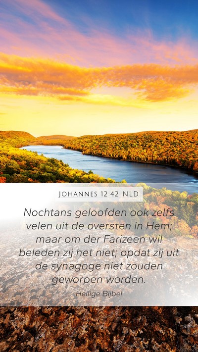 Johannes 12:42 NLD Bible Verse Image