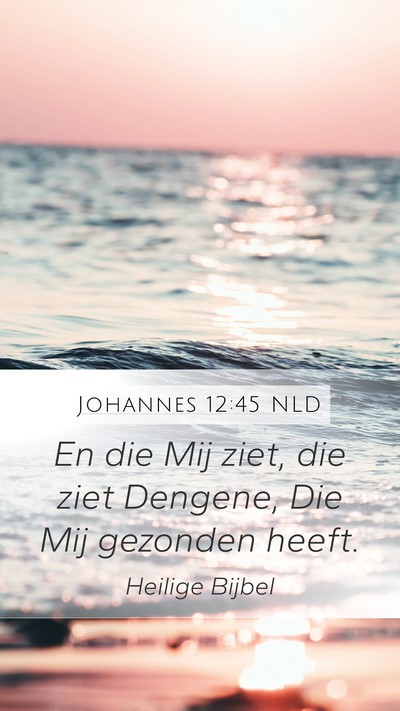 Johannes 12:45 NLD Bible Verse Image