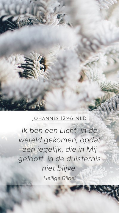 Johannes 12:46 NLD Bible Verse Image