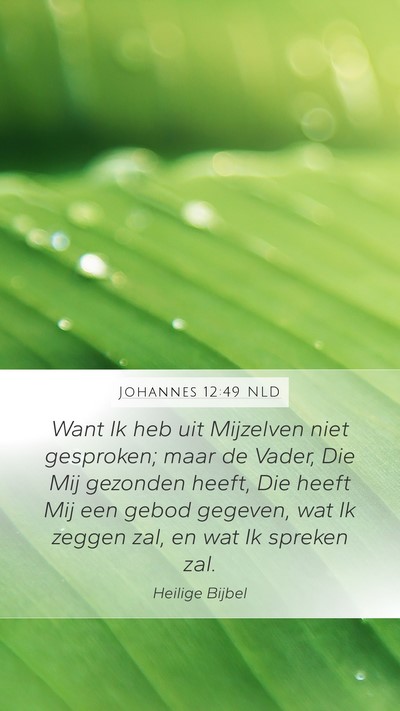 Johannes 12:49 NLD Bible Verse Image