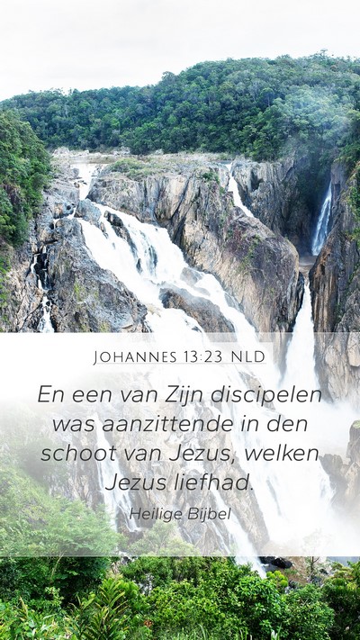 Johannes 13:23 NLD Bible Verse Image