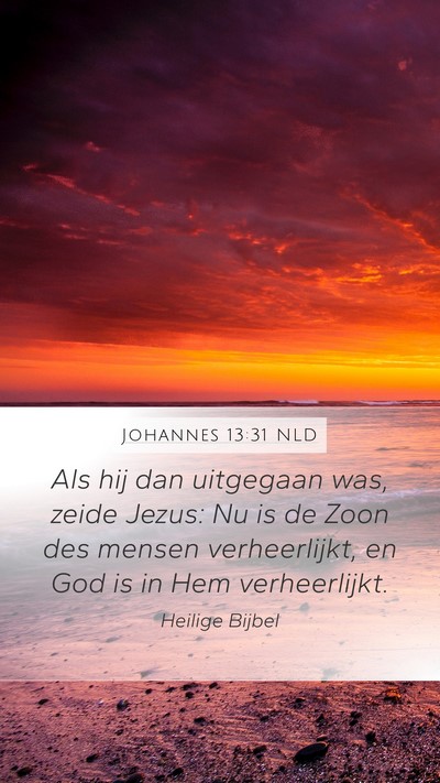 Johannes 13:31 NLD Bible Verse Image
