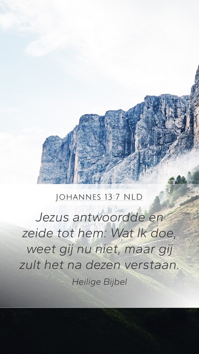 Johannes 13:7 NLD Bible Verse Image