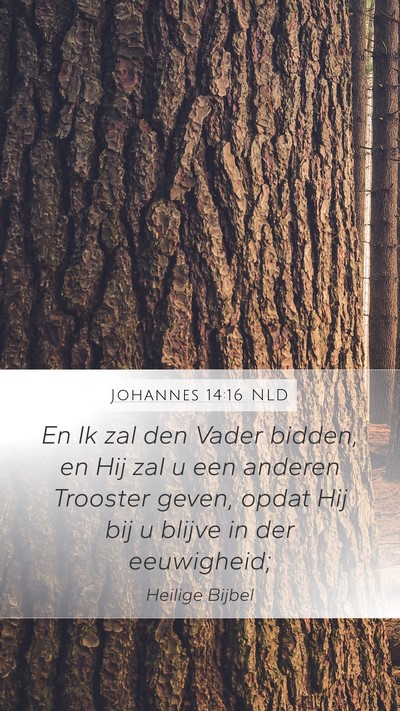 Johannes 14:16 NLD Bible Verse Image