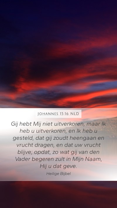 Johannes 15:16 NLD Bible Verse Image
