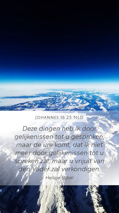 Johannes 16:25 NLD Bible Verse Image