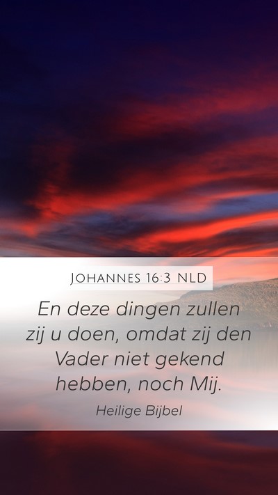 Johannes 16:3 NLD Bible Verse Image