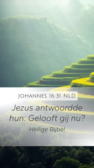 Johannes 16:31 NLD Mobile Phone Wallpaper - Jezus antwoordde hun: Gelooft gij - Mobile Bible Verse Wallpaper
