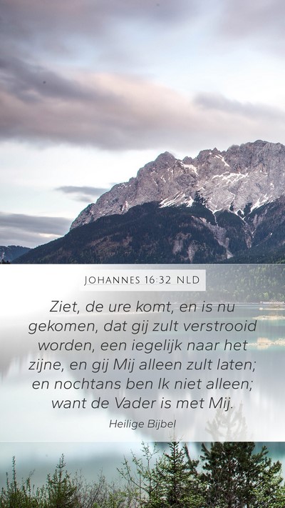 Johannes 16:32 NLD Bible Verse Image
